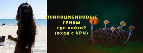 гашик Армянск