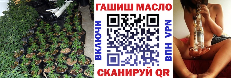 OMG как войти  Строитель  ТГК Wax 