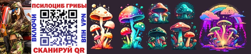где найти наркотики  Строитель  Псилоцибиновые грибы Psilocybine cubensis 